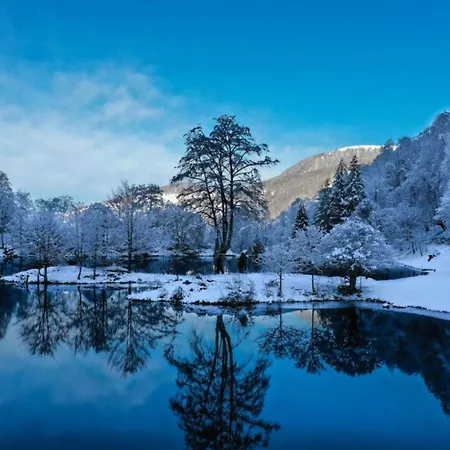 Vakantiehuis Myrtille